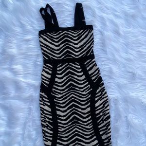 zebra print dress